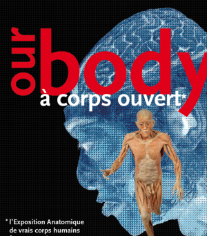 our_body