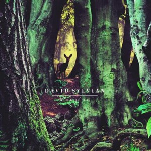 SYLVIAN