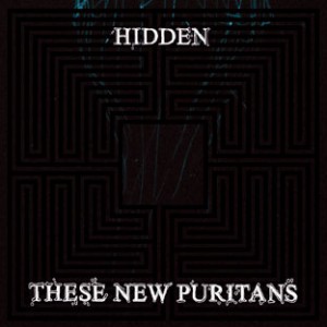 These_New_Puritans