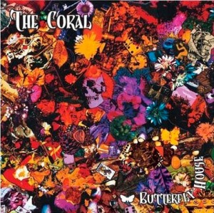 The-Coral-Butterfly-House-512465