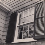 Beach Fossils - What a Pleasure