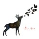 LOW ROAR - Low Roar