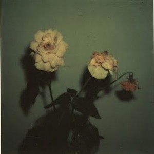 ozartsetc_blu_exile_give-me-my-flowers-while-i-can-smell-them1-e1324240511106
