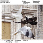 total-control-typical-system