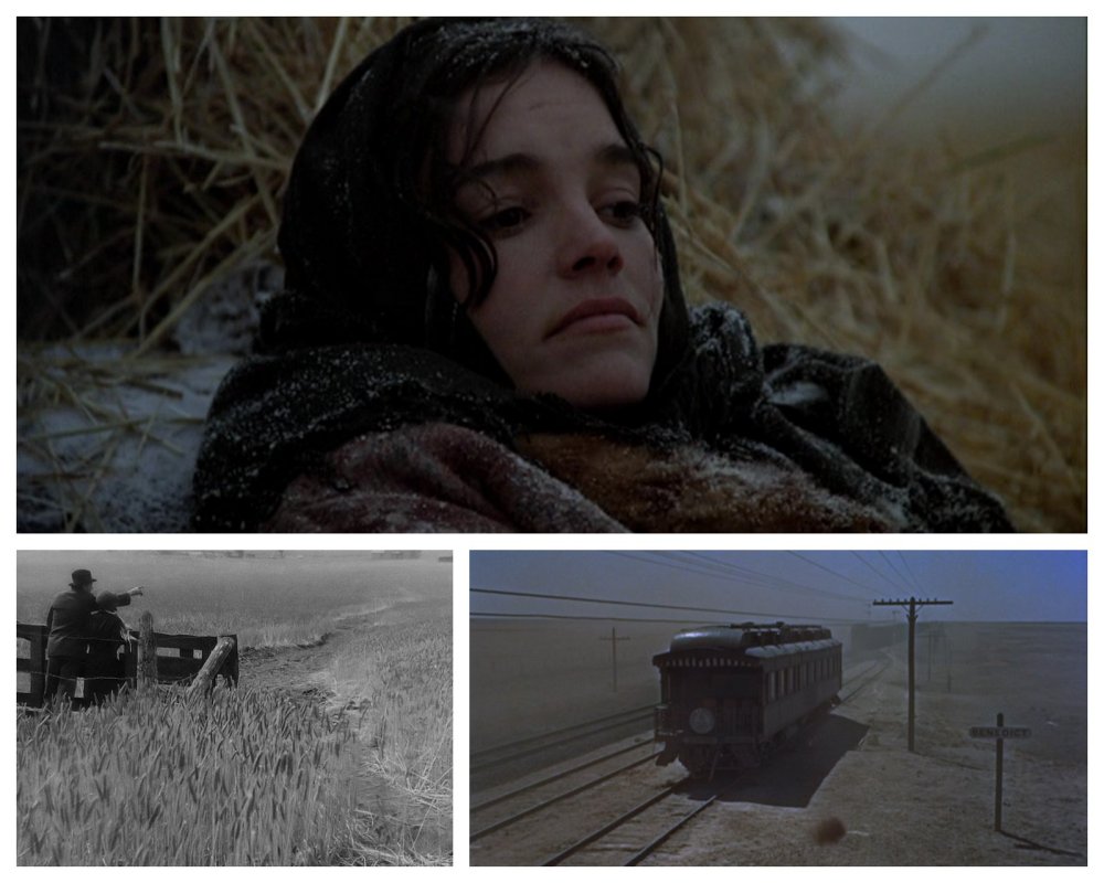 L'Americana lyrique au cinéma : les Moissons du ciel, City Girl, Géant.