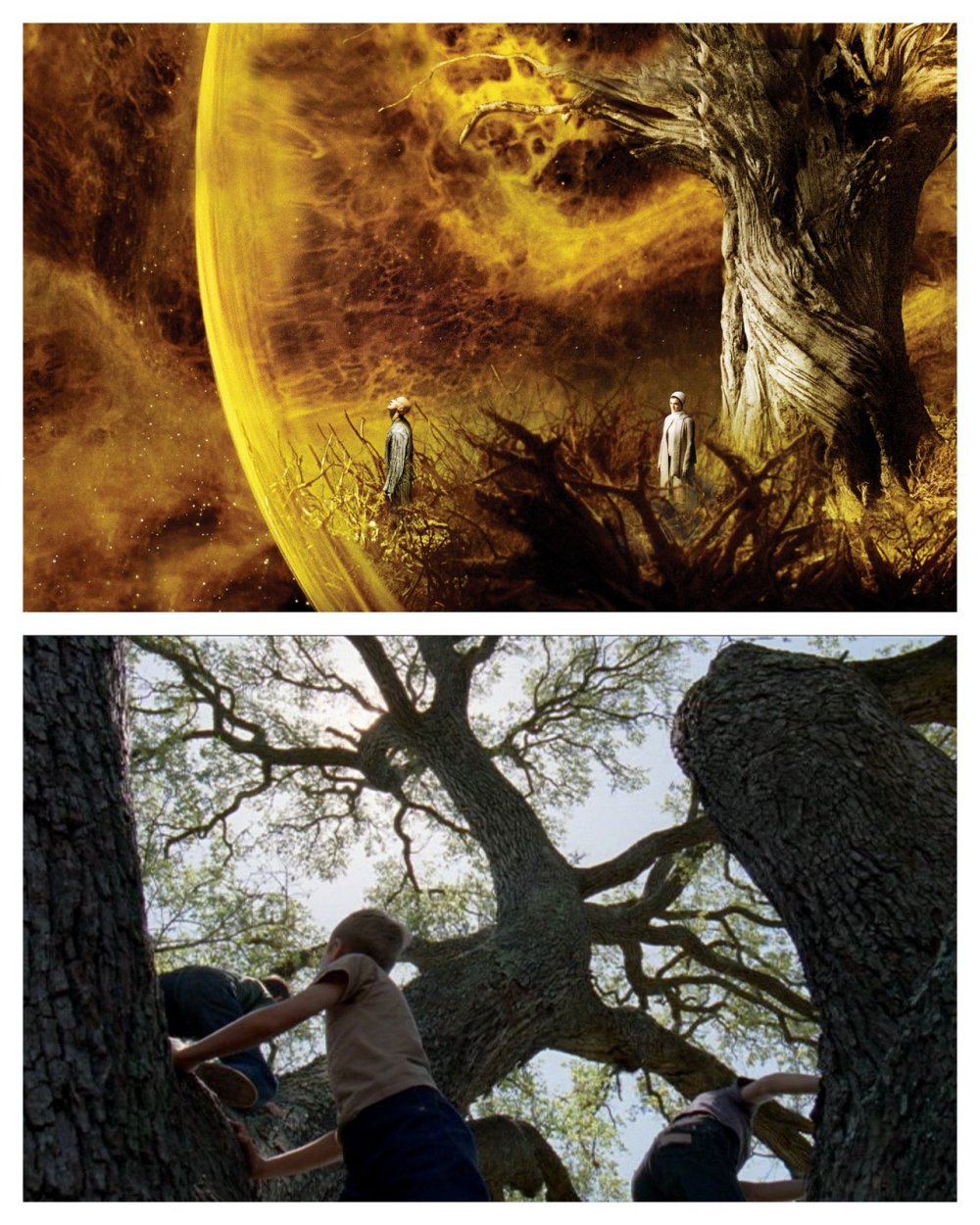 L'arbre de vie dans The Fountain et The Tree of life