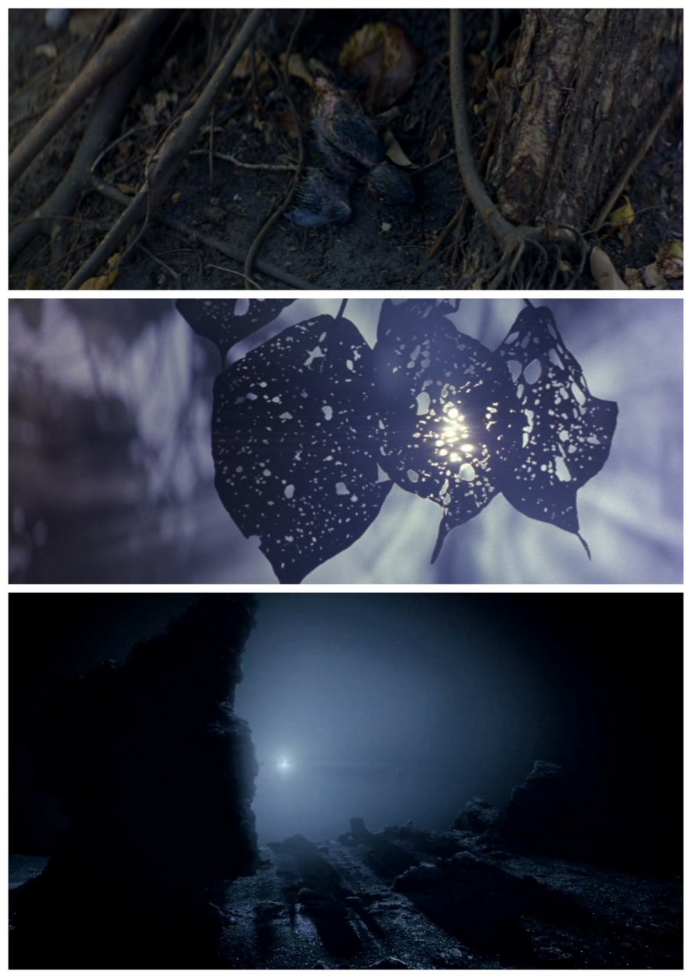 Naissance et mort de la nature : la Ligne rouge, the Tree of Life.