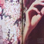 Grooms_Comb-the-feelings