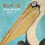 Cosmo Sheldrake - Pelicans We