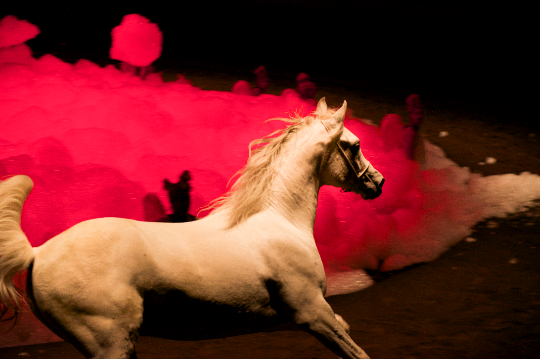 Screenshot 2016-01-08 at 08.55.03