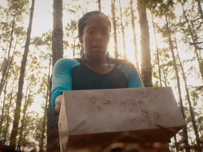 La boite à oiseaux d'Erika