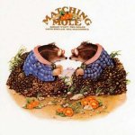 Matching_Mole