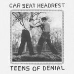 car_seat_headrest_teens_of_denial